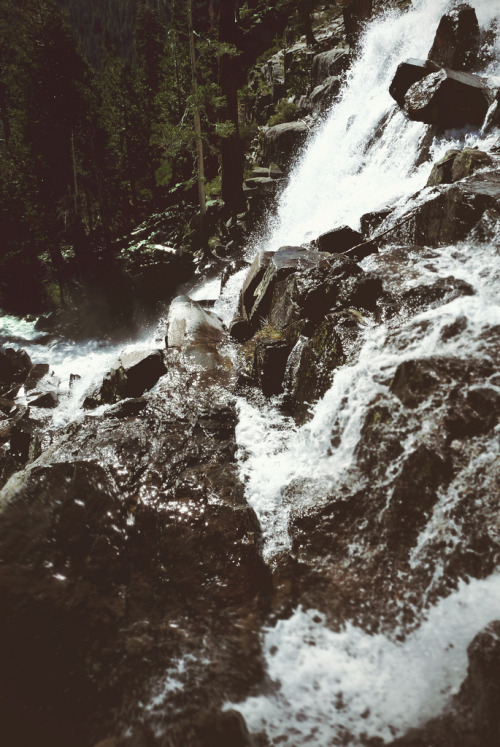 theoceanrolls:  (by Dangerous…Dan) 