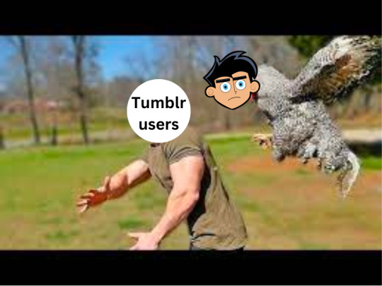 Tumblr media