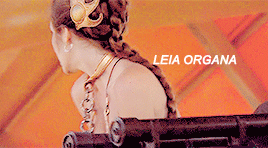 theprincessleia:Why, you stuck up, half-witted, scruffy-looking Nerf herder!