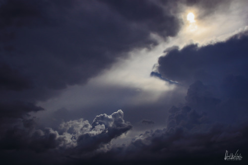 Touch the sky - St martin des champs, France.