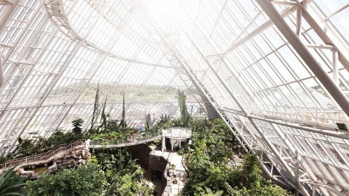 departurelane:  Ecorium  Step inside and experience environments from around the world.Read more in BEYOND BY LEXUS. 