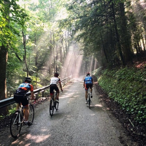 youcantbuyland: #Repost @wahoofitnessofficial ・・・ Morning light through the trees, the relentless gr