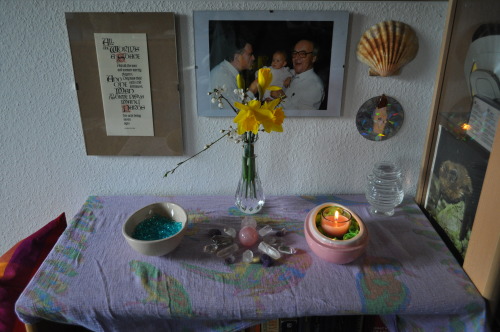 Small altar setup for Ostara:- Flowers from my garden- A small crystal wheel made of amethyst, quart