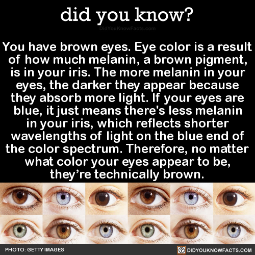did-you-kno:  You have brown eyes. Eye color is a result of how much melanin, a brown