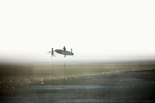 thepictorialist:Foggy day—WA Coast 2012