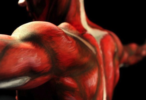 neptuneisforlovers:  autremondeimagination:  RMIT University lecturer Dr. Claudia Diaz’s senior anatomy students get an interesting hands-on lesson by painting the human musculoskeletal system on a live model   thought this was elaborate SNK cosplay