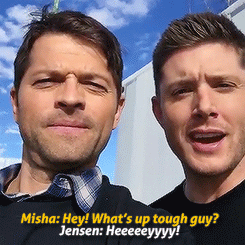 suckmywinchester:  This livestream gave my