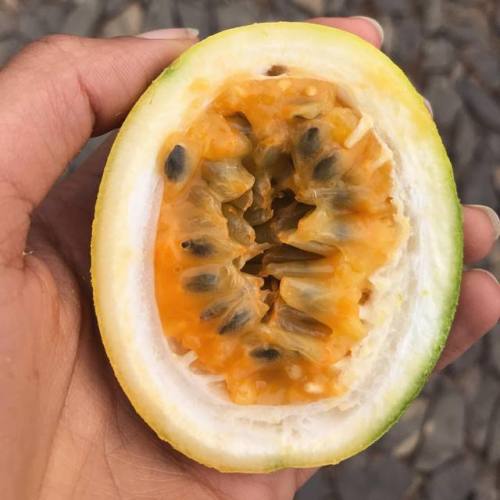 Homegrown passion fruit Yesterday was day 6 of the #KhepeRAchallenge for me so eye focused on VITALI
