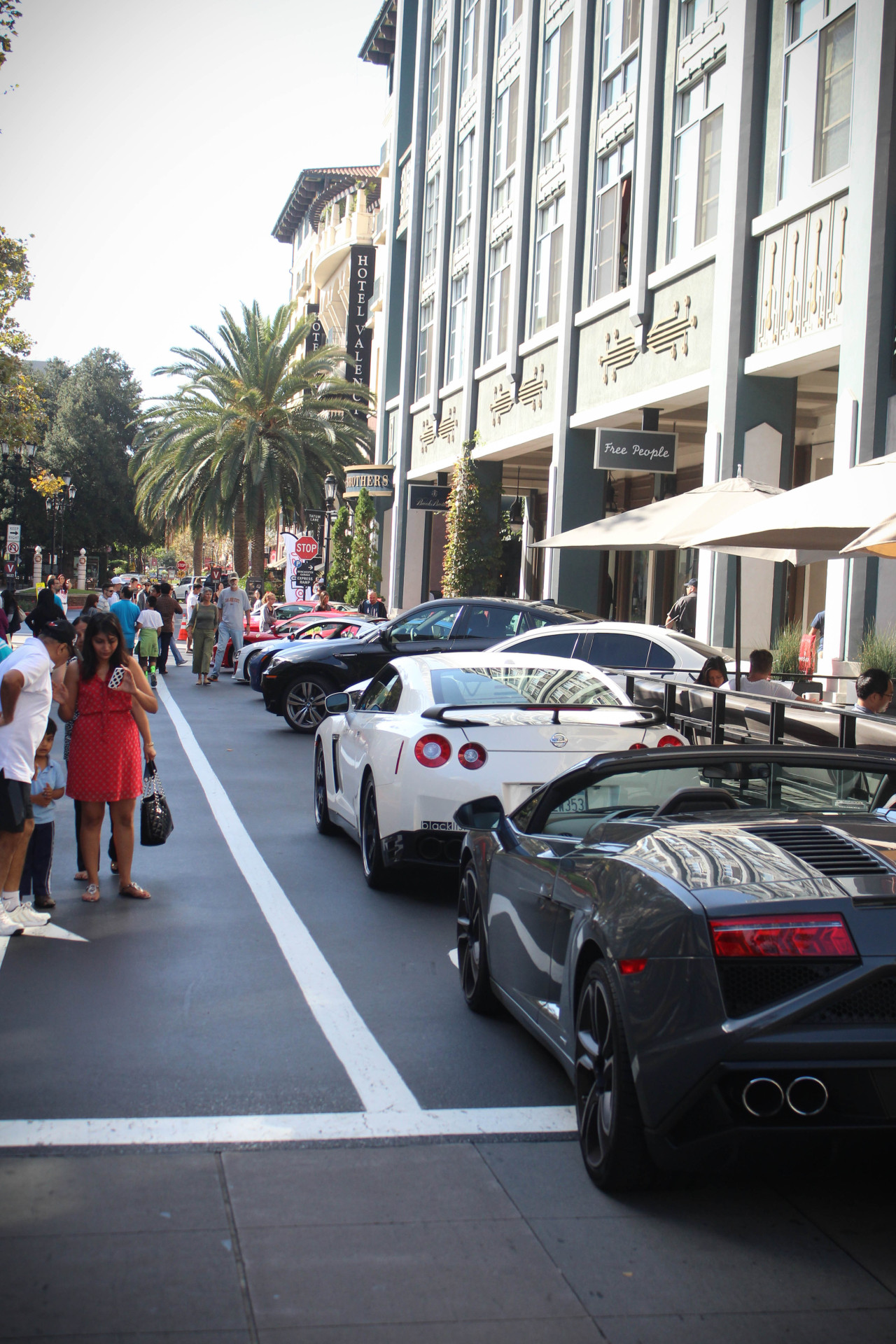 The Original Gerbear — Cars & Croissants, Santana Row Photographer