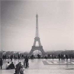 This View Never Gets Old  (At Place Du Trocadéro)