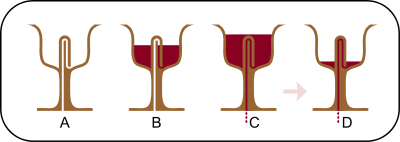 seetroublecoming:punx-files:brainstatic:historical-nonfiction:A Pythagorean cup looks like a normal 