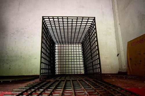 Ein Käfig ging einen Vogel suchen 2 - A cage went in search of a bird 2 - Franz Kafka Soviet Prison 