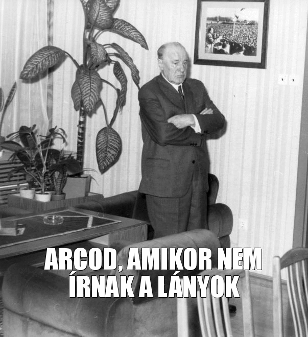 magnusheron:tomatohun:  vagy fiuk  Hermafroditak írjátok!!!!!