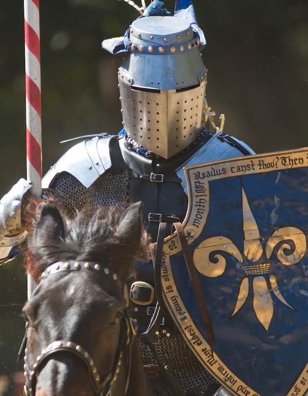 Today it is going to be sunny and 75 (23.8 c) perfect day for the Renaissance Festival,