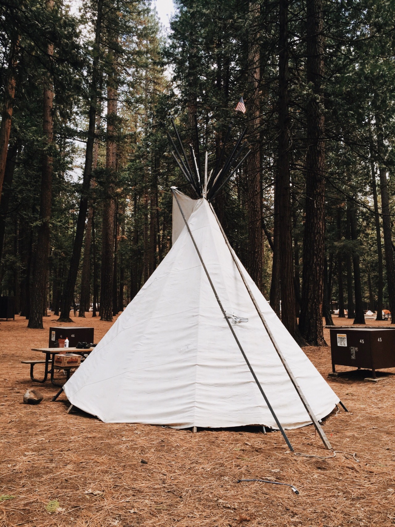 danielodowd:  ioegreer