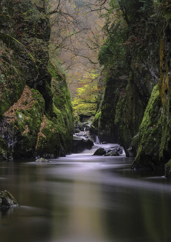 mistymorningme:  &lsquo;Autumn In The Gorge&rsquo; - Fairy Glen, Snowdonia © Kristofer Williams 