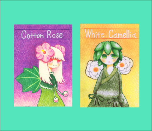 『Cotton Rose』『White Camellia』仙台の展示会にて販売する原画作品（ATC）です。詳細はこちらのブログにて→serenoblog.tumblr.com