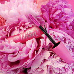 covergirl:  Warming up winter with fully blooming, petal-soft lashes that #goBloom.