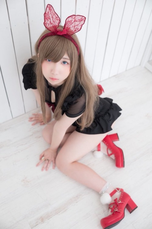 zapper1115: (經由 ちゃんみろ@コスサミ 在 Twitter：&quot;＊M企画 童話水着＊ Summer Rabbit photo/pepe(@pepe3ta3 ) 衣装/M企