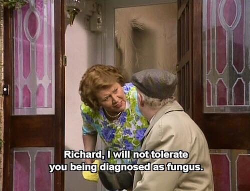 aheartforadventure:I fuckin love Hyacinth 😂