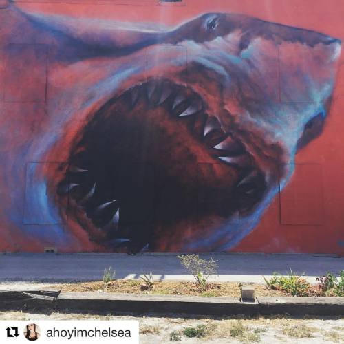 #Repost @ahoyimchelsea With @repostapp ・・・ The Shark Mural In The Art District Is The Coolest Thing