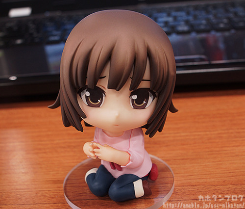 Nendoroid Nadeko Sengoku! plus Nendoroid adult photos