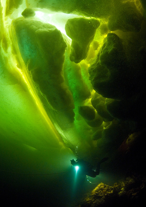 staceythinx:  Underwater photographer Viktor Lyagushkin captures divers under more than just water.  
