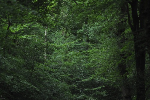 buron: Hills at the Edge of the City ii (x)©sydburon - July ‘15