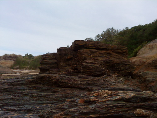 chondritic: jasjabberwocky: Outcrop of the Haast Schist at Brighton beach, Dunedin Wowwwwww I lov