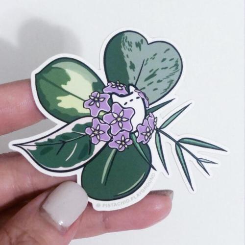 Hoya Plant Art Sticker //PistachioPlantground