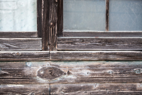 These fish and little turtles(bottom pic) were carved right into the wooden siding on this forgotten