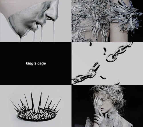 lilabard: fave books read in 2017 - 10/10  king’s cage by victoria aveyardTo stand i