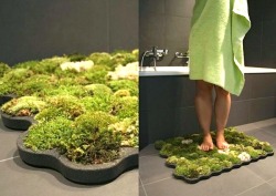 Moss Shower Mat that lives off the water that falls after you get out of the shower and feels great on the feet!