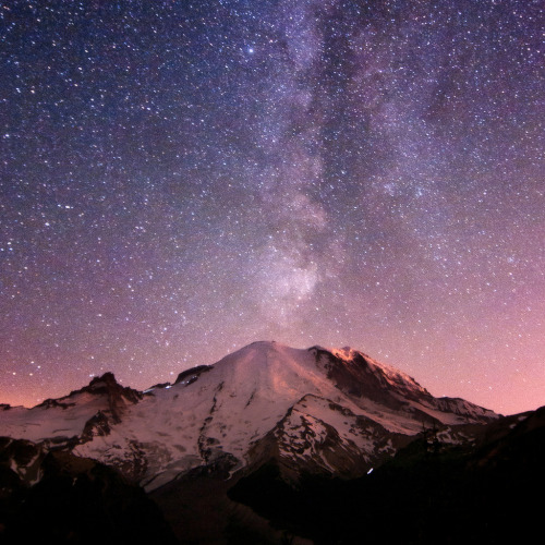 owakolf:  Nature Blog ▲