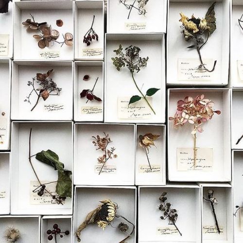 wanderingredleaves:errer_