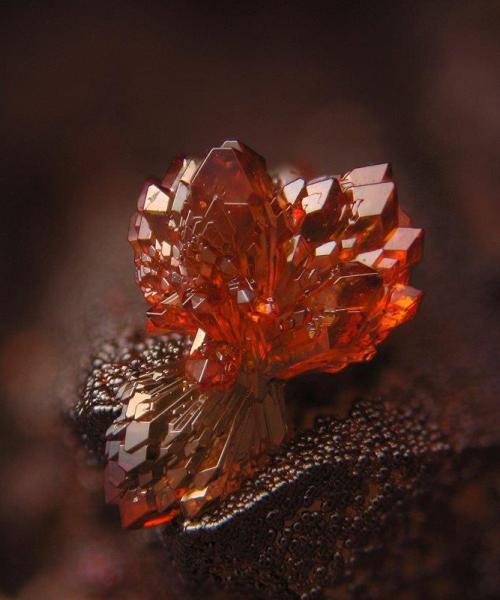 all-thats-interesting: More Gems You Won’t Believe Are Naturally-Occurring My God. How incredi