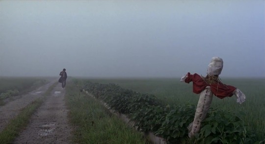 scenesandscreens:Memories of Murder (2003)Director - Bong Joon-ho, Cinematography