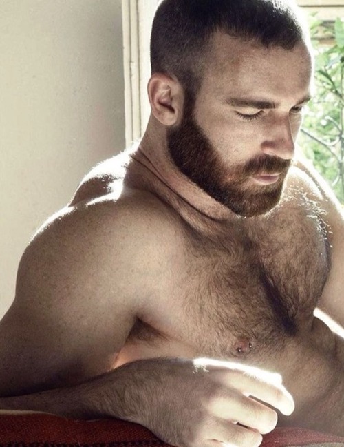 hairy-chests:  http://hairy-chests.tumblr.com/ adult photos