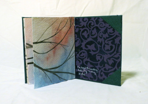 Finally took some decent pictures of that book from forever ago. &gt;_&gt; In hindsight I de