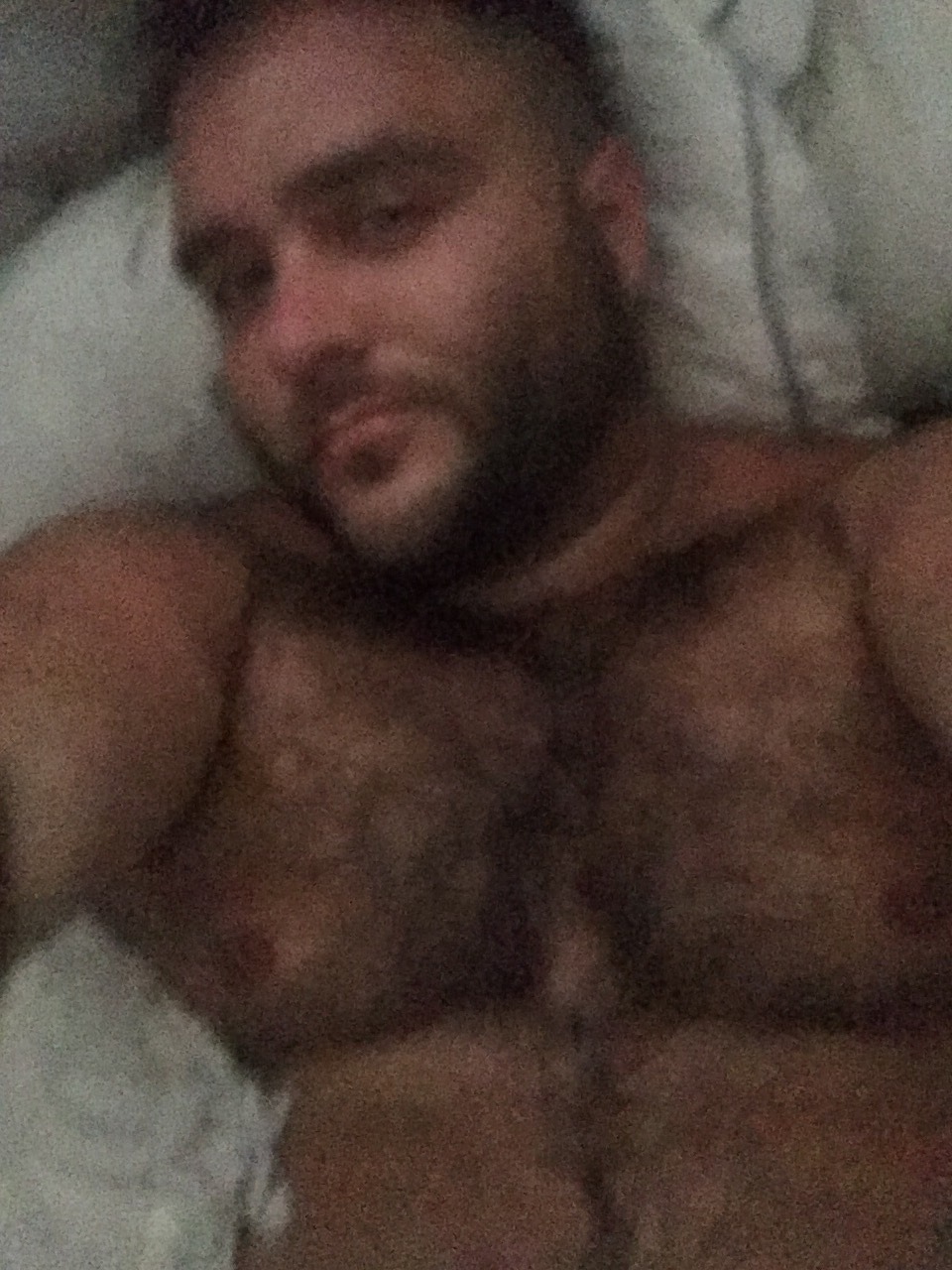 hairycubz:  Woof my new fetish is being on cam watch me live on cam 100% free! http://chaturbate.com/affiliates/in/?track=default&amp;tour=LQps&amp;campaign=R34uJ&amp;room=hairycubz