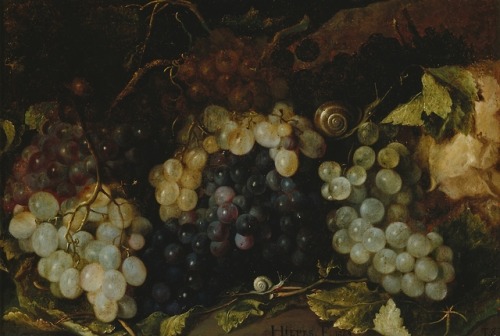 flyse: Still Life with Grapes, Tomás Yepes (Spanish, 1595 or 1610–1674), 1674 Oil on ca