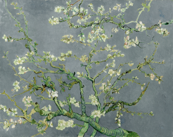 detailsdetales: Almond Blossom, muted