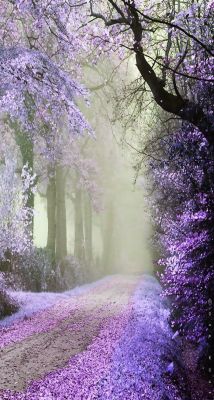 beautymothernature:  Dreamy colors ~ Drea