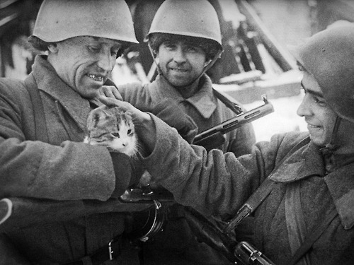 A trio of Soviet soldiers find quick joy in their furry comrade in Stalingrad. 1942