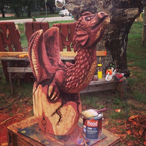 Dragon Hatchling complete! #easternredcedar #chainsawsculpture #CattlelacsCalfry