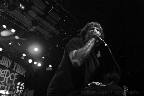 backseatmarinade:  The Amity Affliction (by nateishxc)