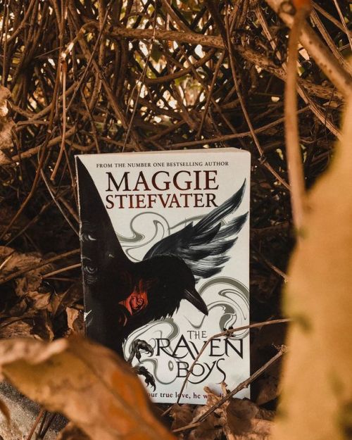 Have you read The Raven Cycle? Did you like it? Are you excited for the upcoming Dreamer trilogy? Do