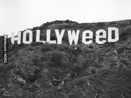 9gag:  HOLLYWEED - a prank on the HOLLYWOOD sign in 1976. 