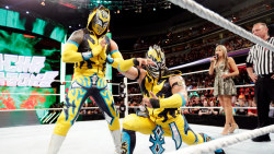 fishbulbsuplex:  Lucha Dragons