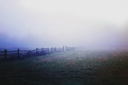 definitelydope:Adventures In The Fog | Nikita Gill